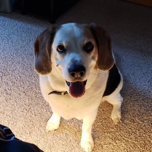 Meet your Posher, Jon